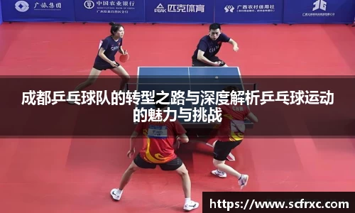 成都乒乓球队的转型之路与深度解析乒乓球运动的魅力与挑战